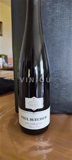 Alsace Paul Buecher Les Terrasses Pinot Noir 2020