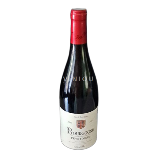 Borgoña Pierre Chanau Pinot Noir 2023