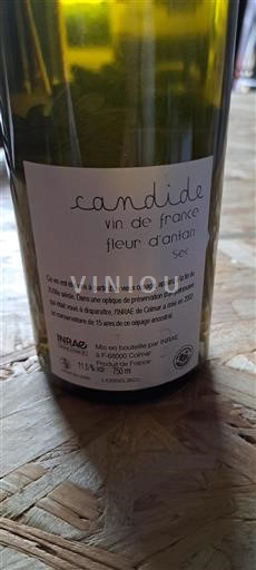 Alsace Ikke specificeret INRAE Candide fleur d'antan 2022