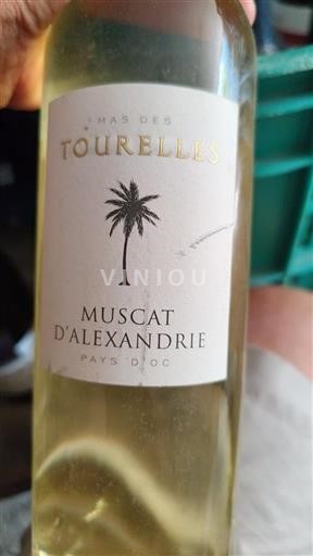 Languedoc og Roussillon Pays d'Oc Mas des Tourelles Muscat d'Alexandrie Ikke årgangsbestemt