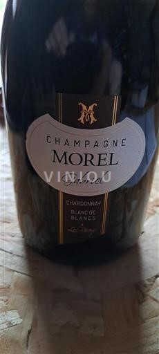 Champaña Champán Champagne Morel Gabriel Sin añada