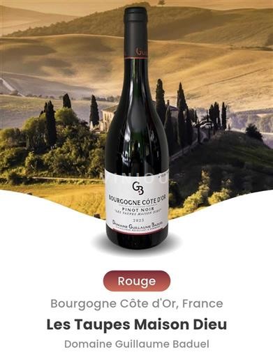 Borgogna Borgogna Côte d'Or Domaine Guillaume Baduel Les Taupes Maison Dieu 2023