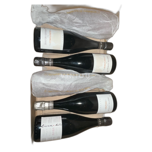 Champagne Jacques Selosse Lieux-Dits Niet-geïntegreerd