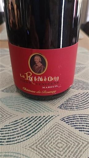 Vallée de la Loire Château Rosnay La Richelieu 2023