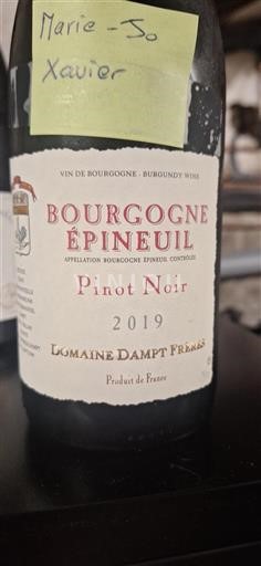 Burgundija Bourgogne Epineuil Domaine Dampt Frères 2019