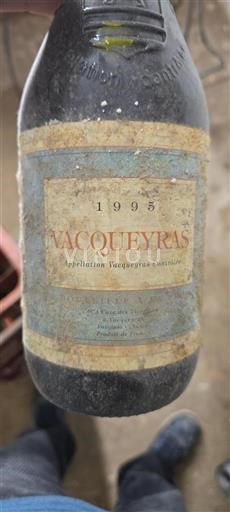 Thung lũng Rhône Vacqueyras Cave des Vignerons à Vacqueyras 1995