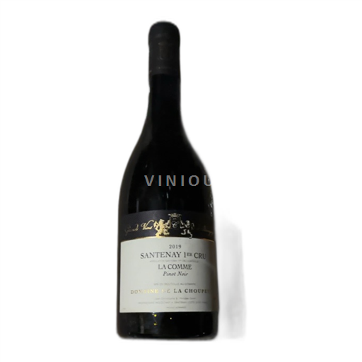 Burgundsko Santenay Premier Cru Domaine La Choupette La comme 2019