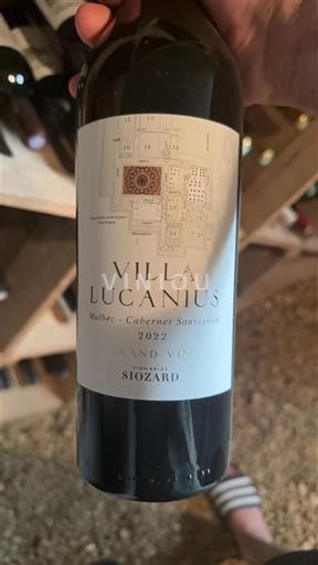 Vin Rouge sec Villa Lucanius Siozard 2022 France Bordeaux AOC