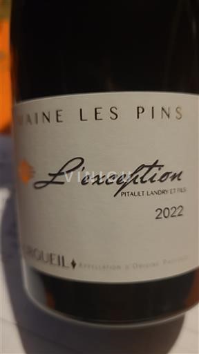 Valea Loarei Bourgueil Domaine Les Pins L'exception 2022