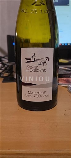 Dolina Loare Coteaux d'Ancenis Domaine Galloires Malvoisie 2023