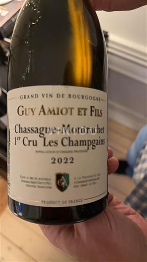 Burgundija Chassagne-montrachet Premier Cru Guy Amiot et Fils Les Champgains 2022