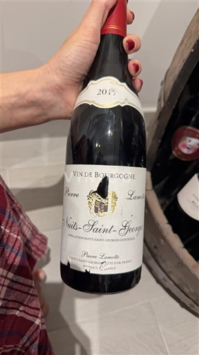 Burgundsko Nuits-saint-georges Pierre Lamotte 2017