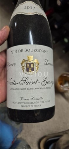 Bourgogne Nuits-saint-georges Pierre Lamotte 2017