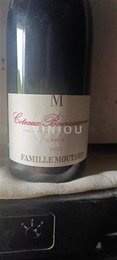 Burgundija Burgundska gricevja Famille Moutard Gamay 2022