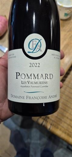 Borgoña Pommard Premier Cru Domaine Françoise André Les Vaumuriens 2022