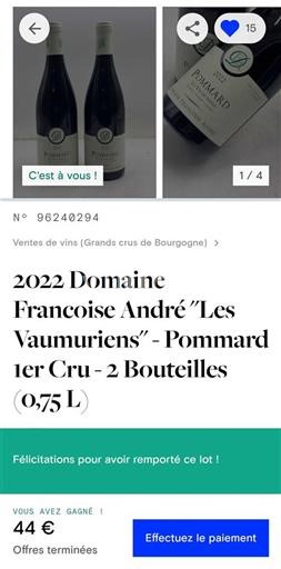 Burgundi Pommard Premier Cru Domaine Françoise André Les Vaumuriens 2022
