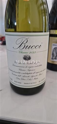 Marche Jesin linnavuorten Verdicchio Bucci Classico 2023