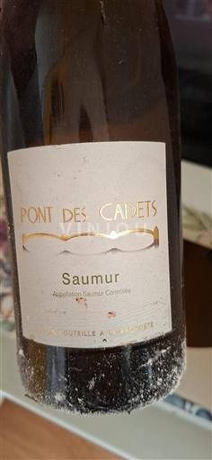 Loire Valley Saumur Pont des Cadets 2015