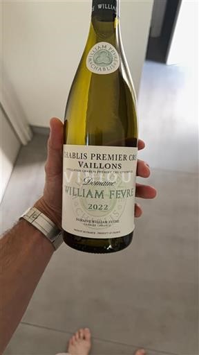 Borgoña Chablis Premier Cru Domaine William Fèvre Vaillons 2022