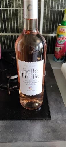 Langvedok Ni doloceno Chartreux Belle Emilie Neleten.