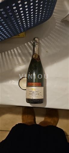 Bordeaux Crémant de Bordeaux Jaillance Nemilésimat