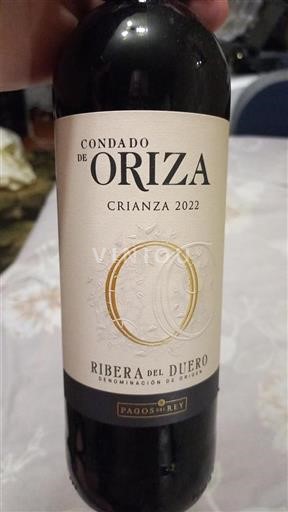 Castilien og León Ribera del Duero Condado de Oriza Crianza 2022