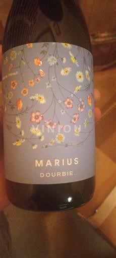 Languedoc Dourbie Marius 2023