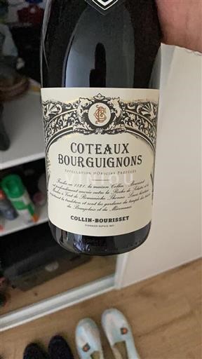 Borgoña Coteaux de Borgoña Collin-Bourisset Sin añada