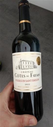 Burdeos Puisseguin-saint-émilion Château Côtes du Fayan 2022