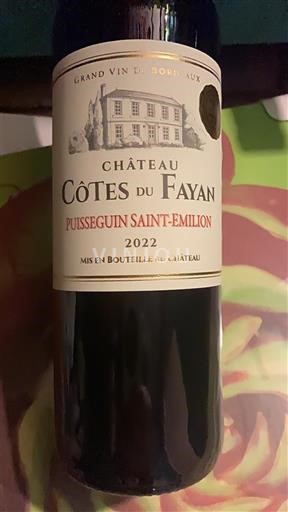 Wines Rouge sec Château Côtes du Fayan 2022 France Bordeaux Puisseguin-Saint-Émilion AOC