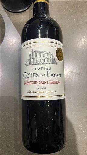 Bordeaux Puisseguin-saint-émilion Château Côtes du Fayan 2022