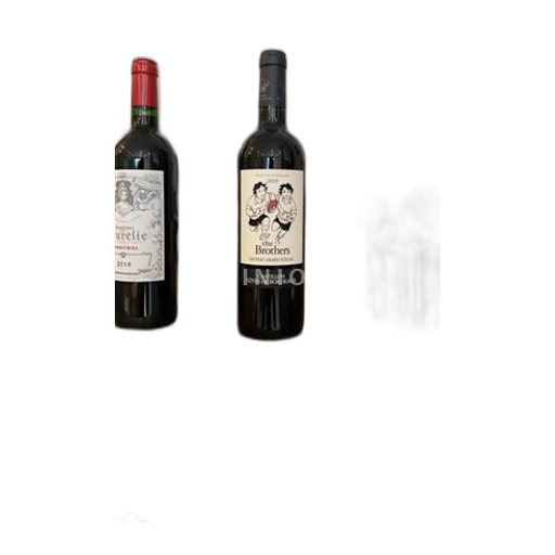 Bordeaux Castillon Côtes de Bordeaux Château Grand Tuillac The Brothers 2019