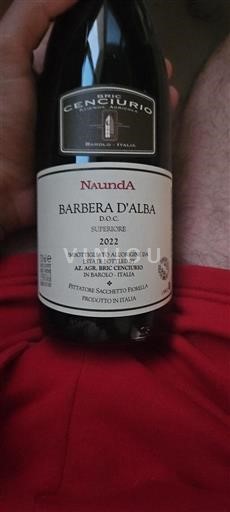 Piemonte Barbera d'Alba Bric Cenciurio NaundA 2022