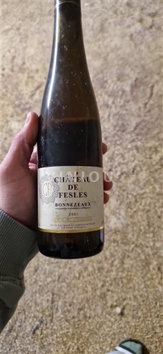 Vale do Loire Bonnezeaux Château Fesles 2001