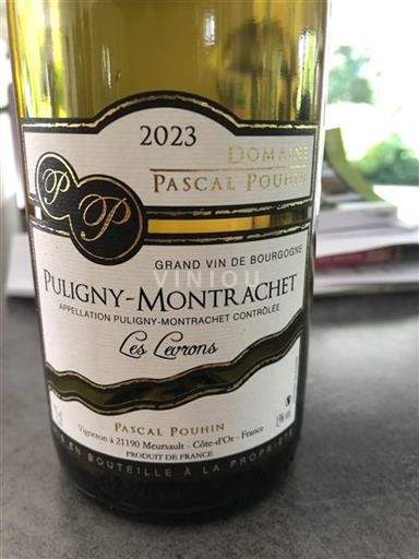 Bourgogne Puligny-montrachet Domaine Pascal Pouhin Les Levrons 2023