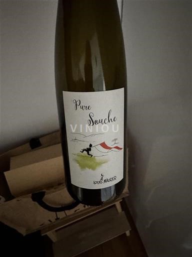 Alsace Louis Maurer Pure Souche Không niên vụ