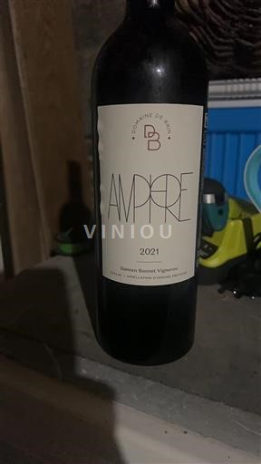 Vin Rouge sec Ampore Domaine Brin 2021 France Sud-Ouest Gaillac AOC
