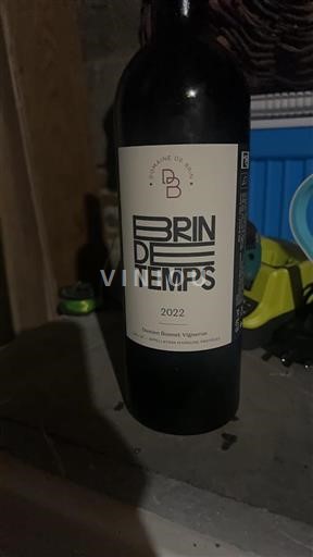 Vin Rouge sec Brin de Temps Domaine Brin 2022 France Sud-Ouest Gaillac AOC bio