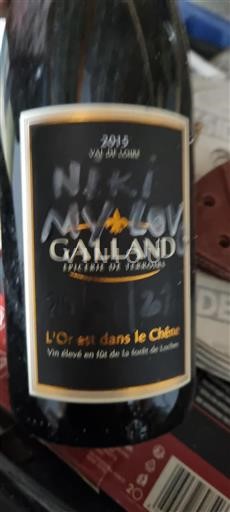 Valle della Loira Non specificato Galland L'Or est dans le Chêne 2015