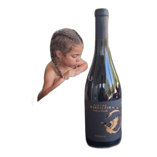 Vin Rouge sec Naitre et Renaitre Domaine Marsaleix 2020 France Vallée du Rhône Ventoux AOC bio