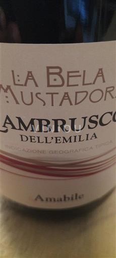 Emilia-Romagna Wines Unspecified La Bela Mustadora Non-Vintage