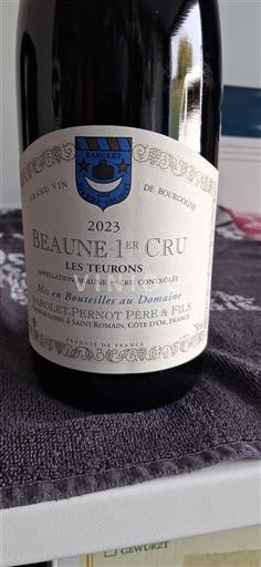 Bourgondië Niet gespecificeerd Premier Cru Barolet-Pernot Père & Fils Les Teurons 2023