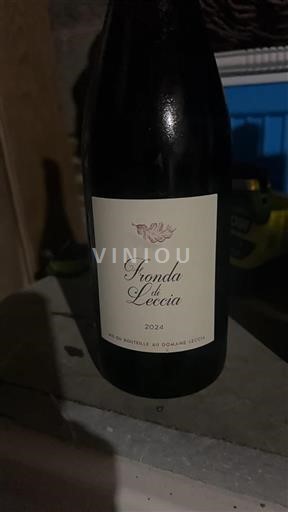 Corse Đảo sắc đẹp Domaine Leccia Fronda di Leccia 2024