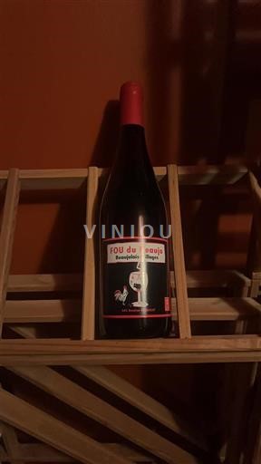 Beaujolais Beaujolais Villages SAS Damien Coquelet FOU du Beaujo 2023