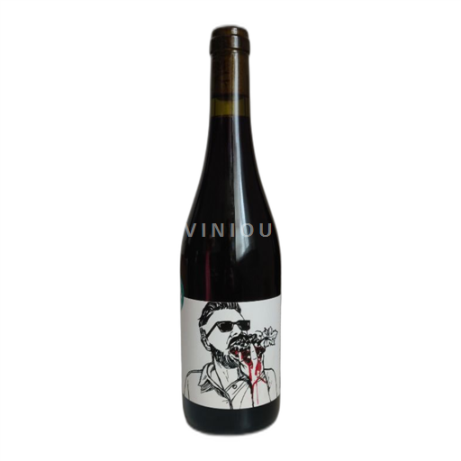 Vin Rouge sec Juteux Pierre Et Antonin 2023 France Languedoc Vin de France bio