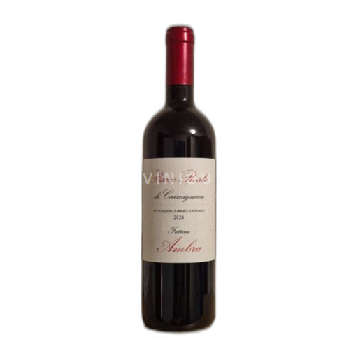 Vin Rouge sec Fattoria Ambra 2024 Italie Toscane DOC