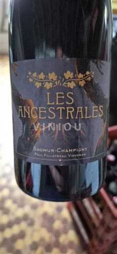 Loire Valley Saumur-Champigny Paul Filliatreau Les Ancestrales Non-Vintage