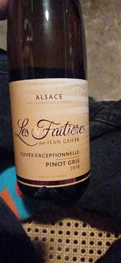 Alsazia Pinot grigio Les Faîtières par Jean Geiler Exceptionnelle Pinot Gris 2018