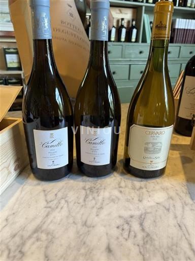 Tuscan Wines Bolgheri Antinori Camillo 2022