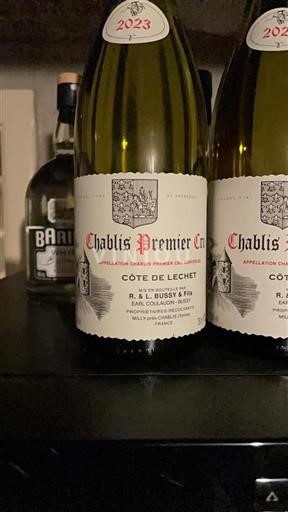 Borgoña Chablis Premier Cru R. & L. Bussy & Fils C%c3%b4te de Lechet 2023